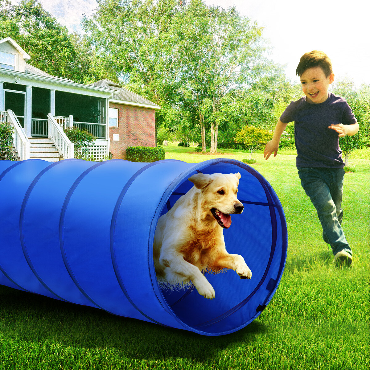 https://img2.crazysales.com.au/products_pictures/258/258467_2127287_F.jpg